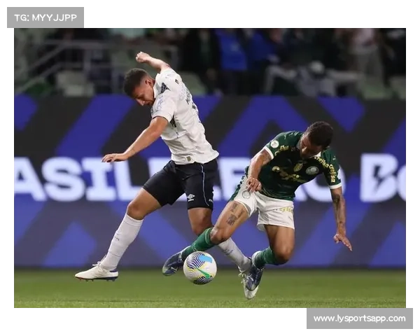 巴甲帕尔梅拉斯紧追前四 解放者杯轮换主力迎战联赛